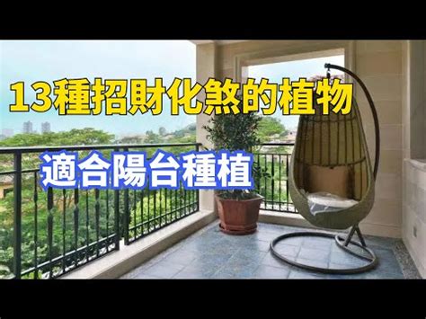 陽台 樹 風水|陽台植物風水指南：打造生機勃勃、招財納福的綠色天。